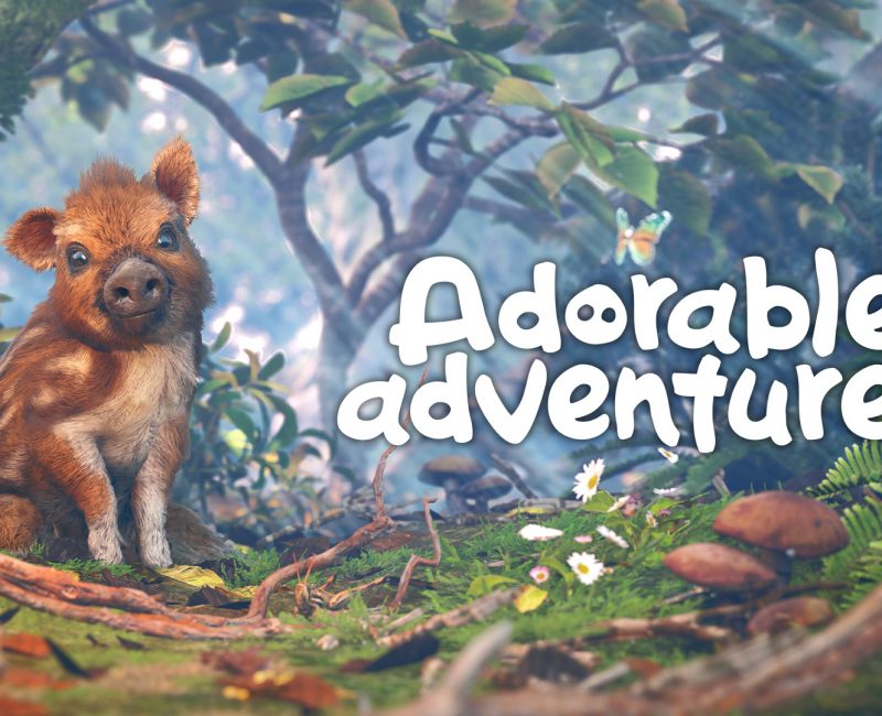 Adorable Adventures